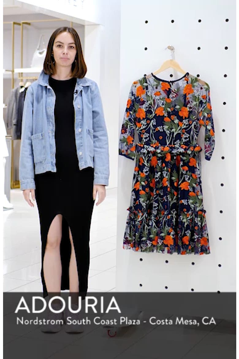 Embroidered Mesh Fit & Flare Dress video