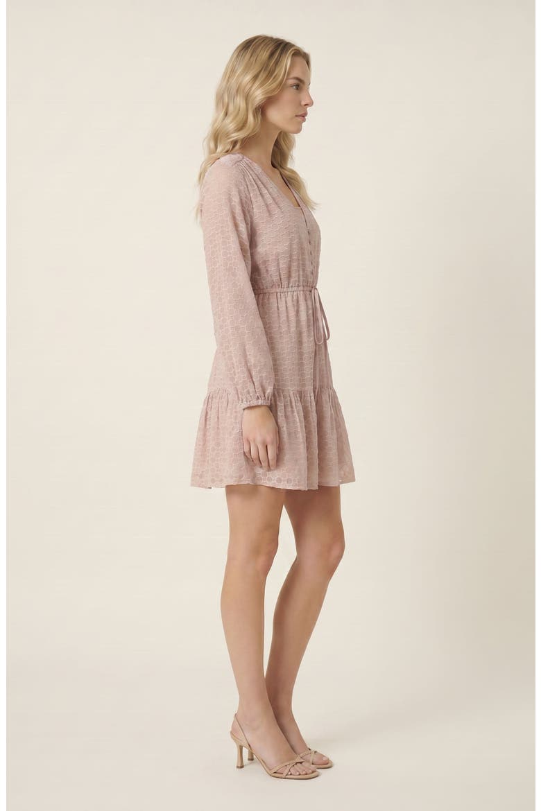 Polka Dot Embroidered Lace V-Neck Tie Waist Dress, Alternate, color, Beige