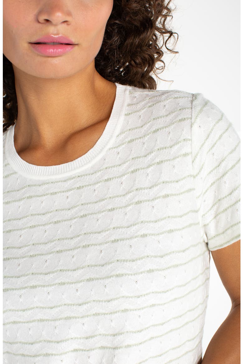 Wavy Jacquard Stripe T-Shirt, Alternate, color, BNE/ MTCHGRN ST