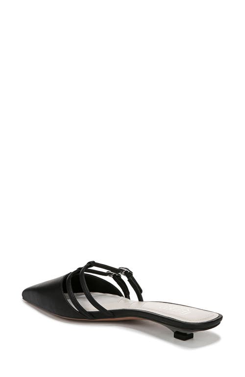 Franco Sarto Pia Pointed Toe Mule In Black