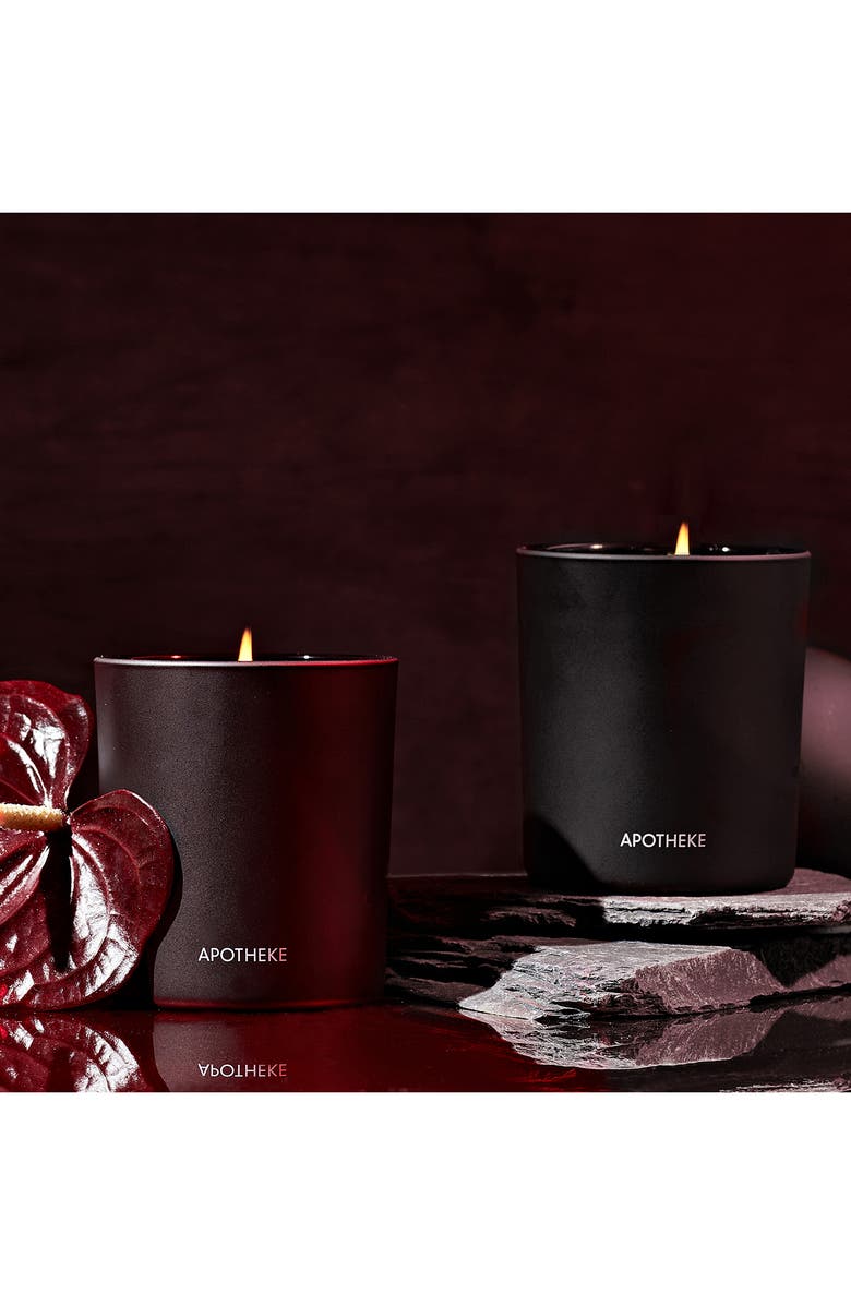 APOTHEKE Charcoal Rouge Classic Scented Candle, Alternate, color, Black