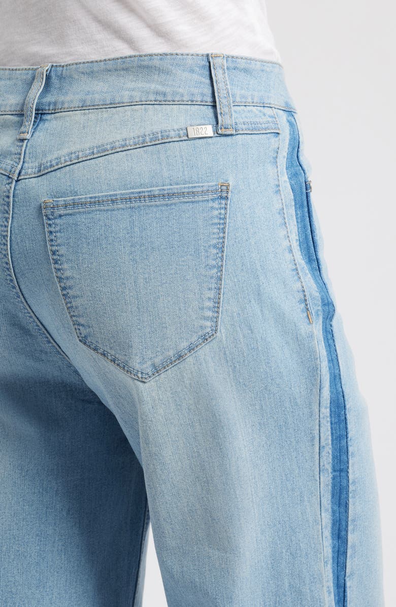 1822 Denim Shadow Stripe Raw Hem High Waist Ankle Wide Leg Jeans, Alternate, color, 