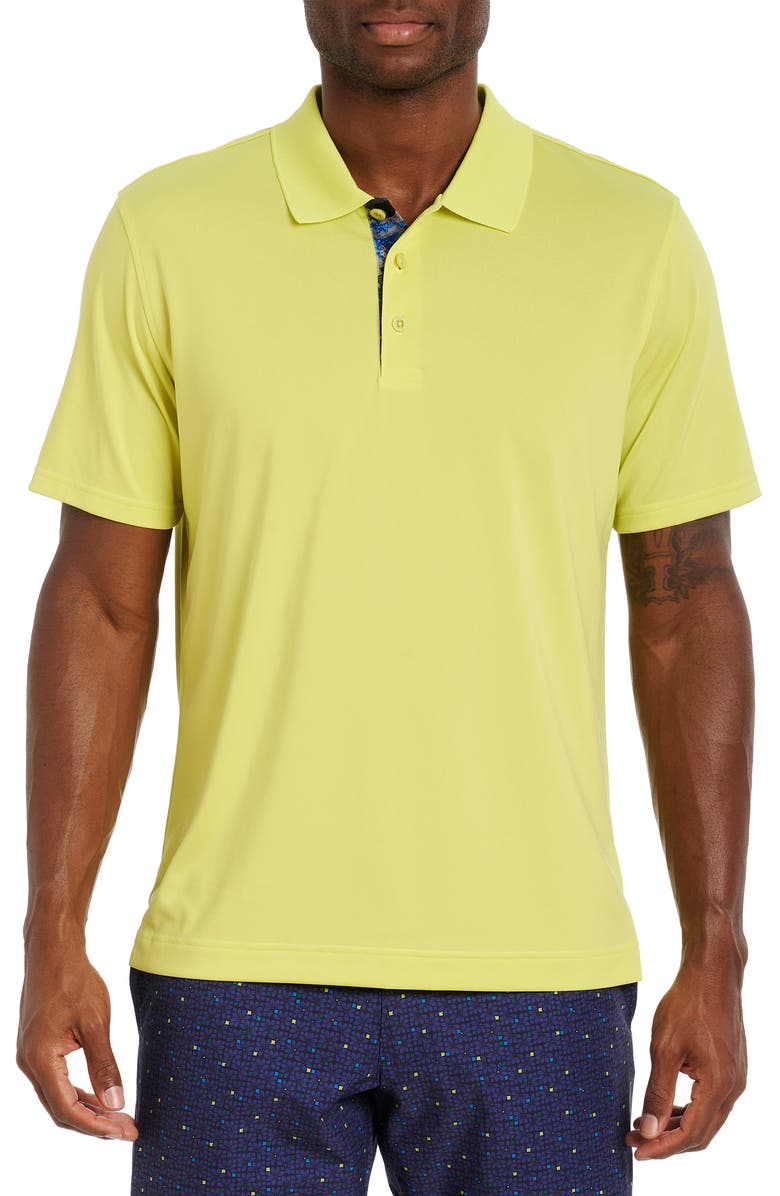 Robert Graham Elbridge Short Sleeve Performance Polo, Main, color, 