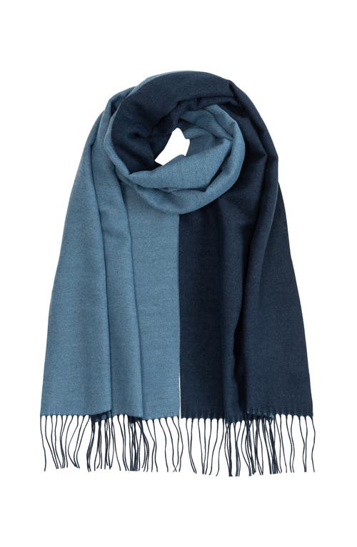 Echo Double Face Scarf In Brown