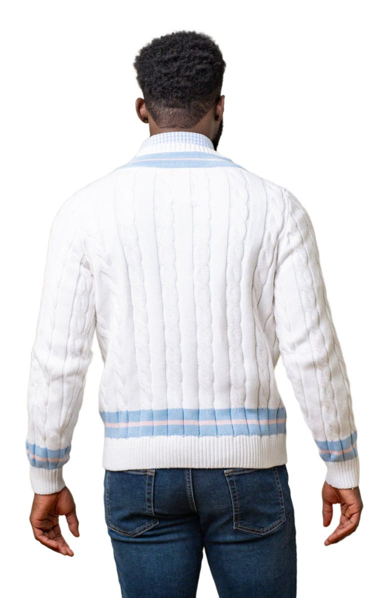 Hope & Henry Men's Organic V-Neck Cricket Sweater, Alternate, color, 