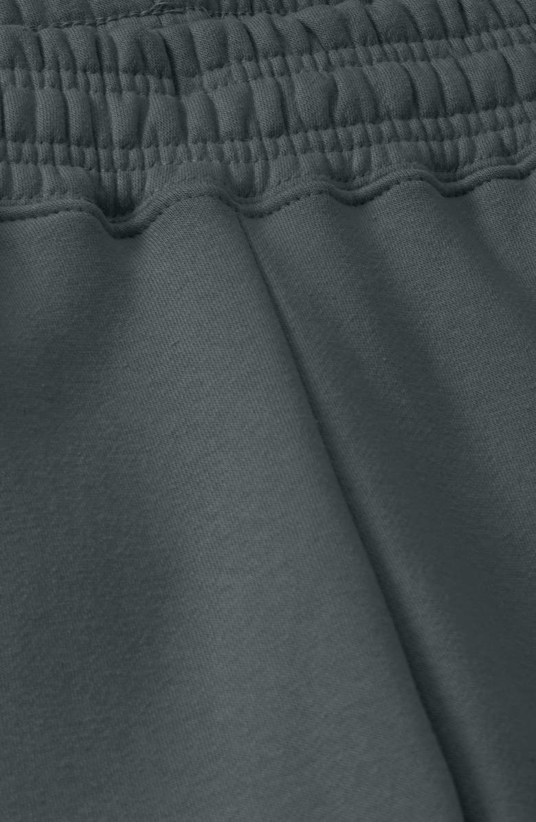 Dalix Womens Butterfly Heavyweight Fleece Sweatpant, Alternate, color, Space Gray