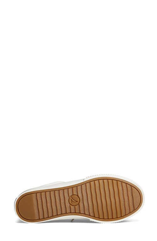 Sperry Top-sider® Bermuda Ltt Sneaker