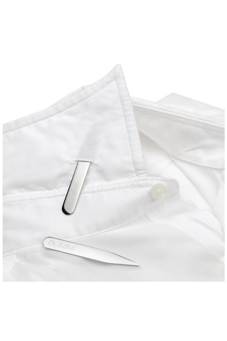 Set of 2 Stainless Steel Collar Stays, Alternate, color, SILVER