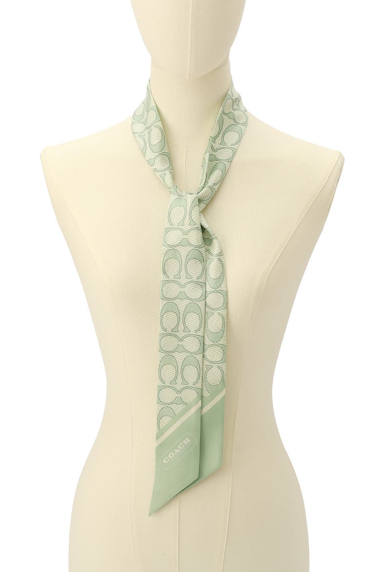 Textured Signature Logo Silk Scarf, Alternate, color, MINT