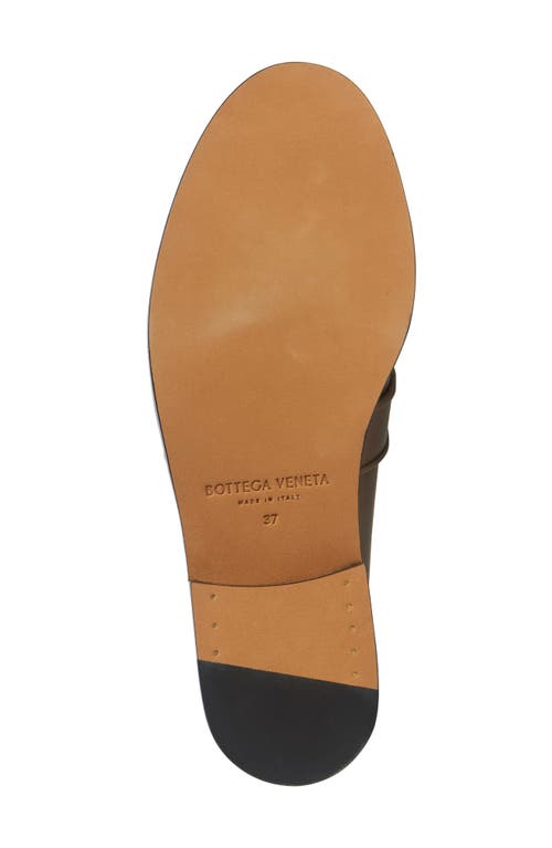 Bottega Veneta Astaire Knot Bit Loafer In 2354 Pinecone