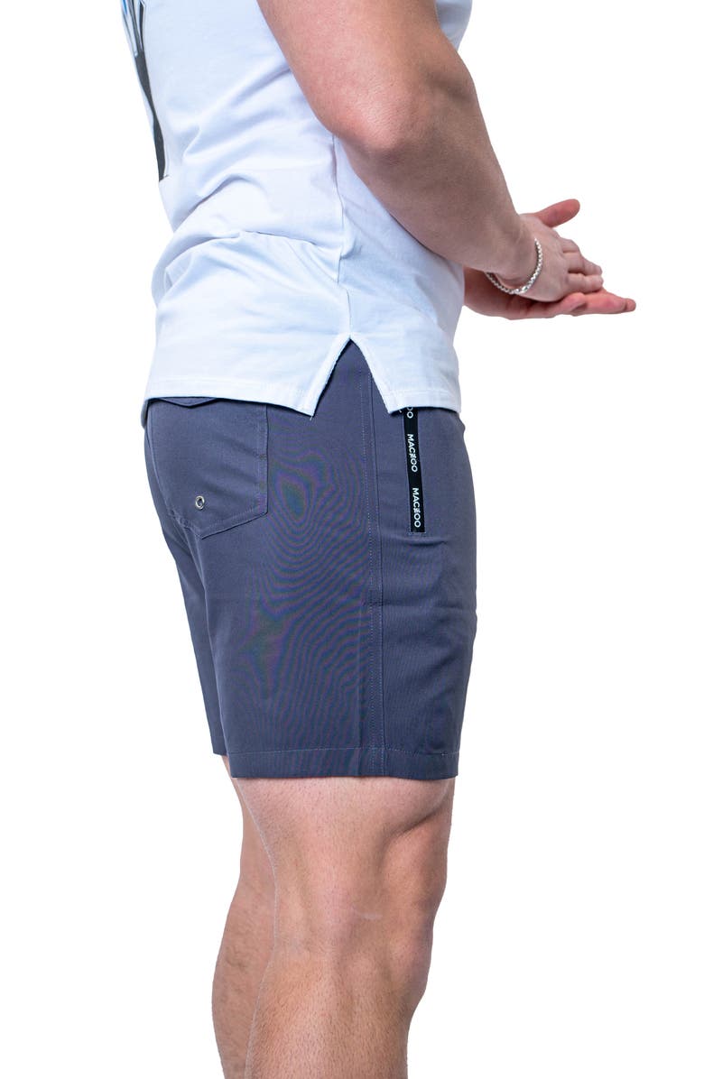 Maceoo Lion Swim Trunks, Alternate, color, Grey