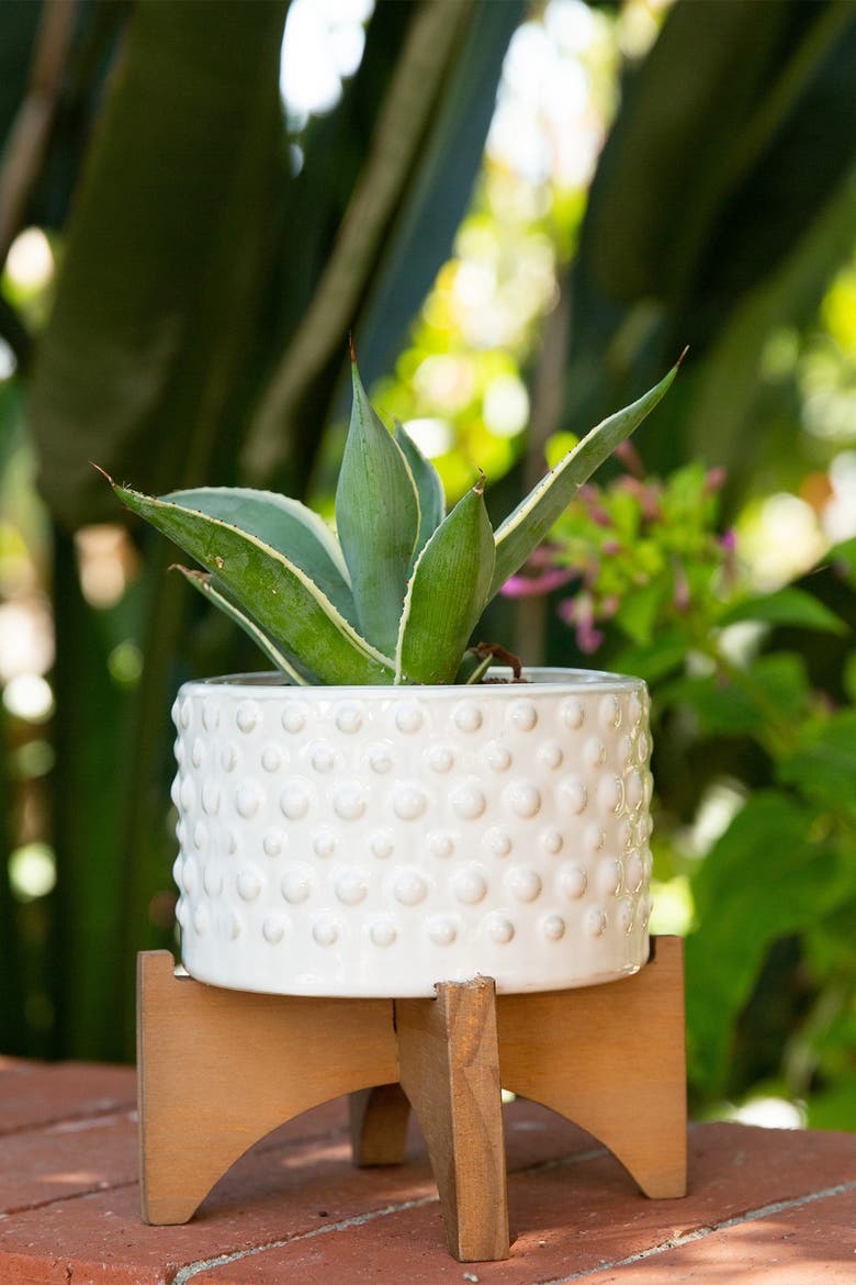 6"  Hobnail Ceramic Planter on Wood Stand, Alternate, color, WHITE