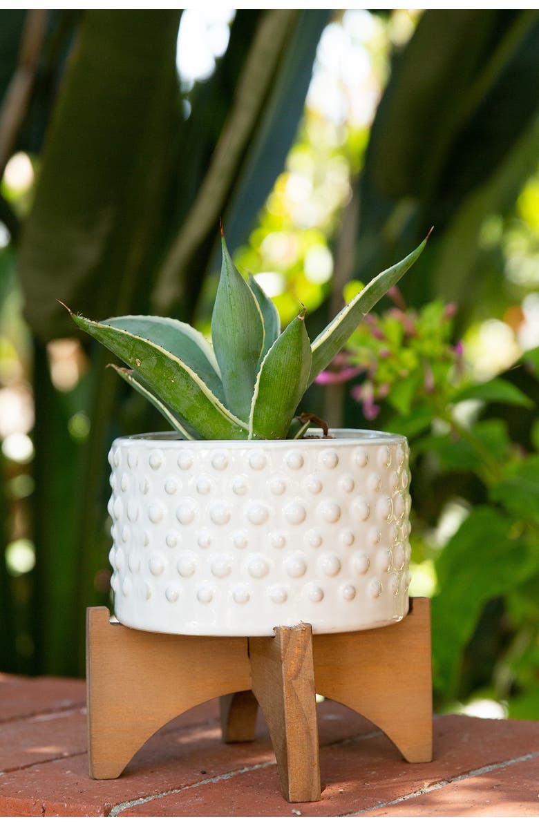 FLORA BUNDA 6" Hobnail Ceramic Planter on Wood Stand, Alternate, color, White