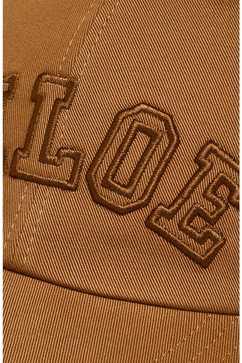 Signature Logo Embroidered Adjustable Baseball Cap, Alternate, color, MOCHA BROWN