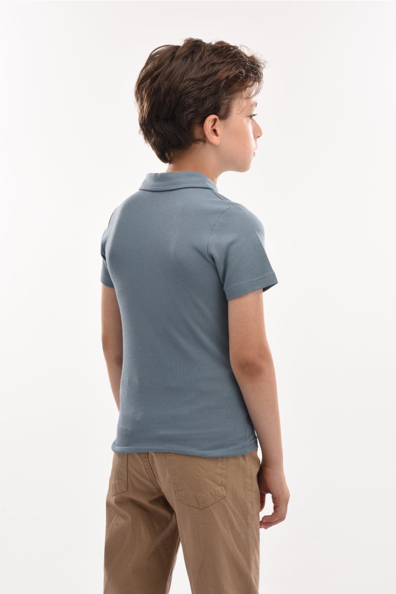 Solid Polo Shirt, Alternate, color, Blue