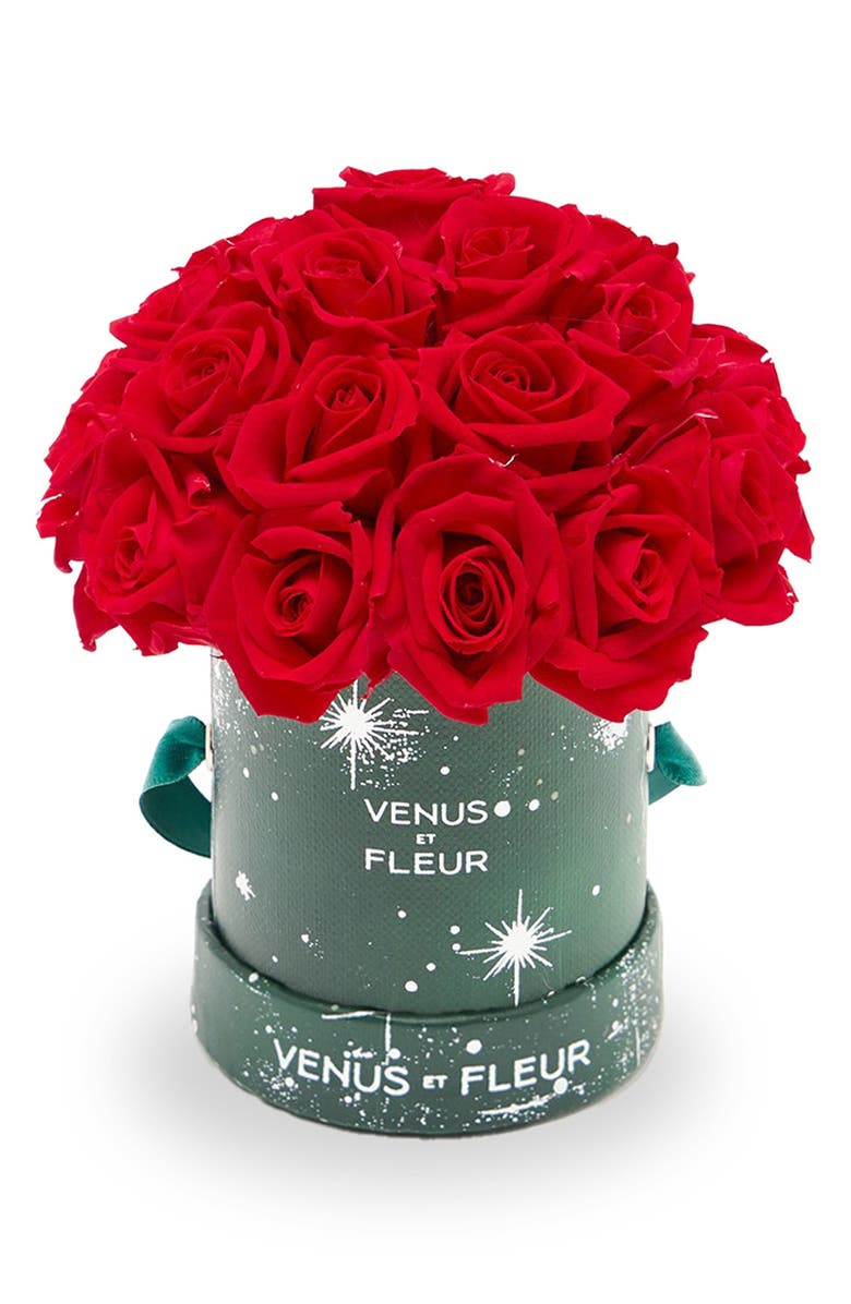 Venus ET Fleur Mini Le Plein Zodiac Red Eternity Roses<sup>®</sup>, Main, color, Red