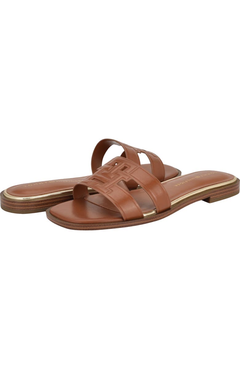 Tommy Hilfiger Terenz Slide Sandal, Alternate, color, British Tan