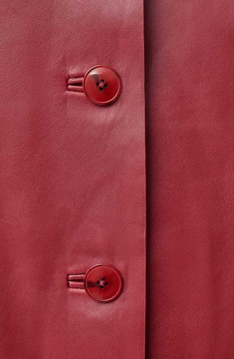 MANGO Button-Up Leather Jacket, Alternate, color, 