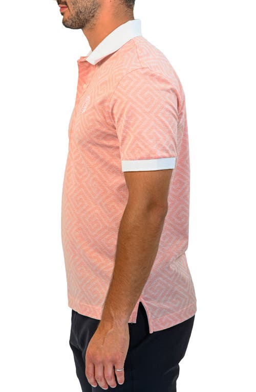 Maceoo Mozartdiagonaltip Peach Cotton Polo In Pink
