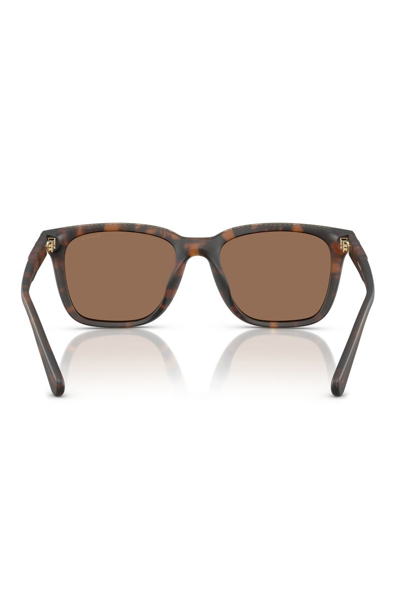 54mm Square Sunglasses, Alternate, color, MATTE TORTOISE / BROWN SOLID