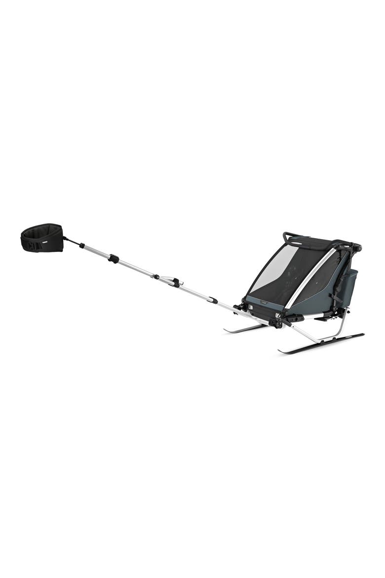 Chariot Cross 2 Multisport Double Cycle Trailer/Stroller, Alternate, color, DARK SLATE