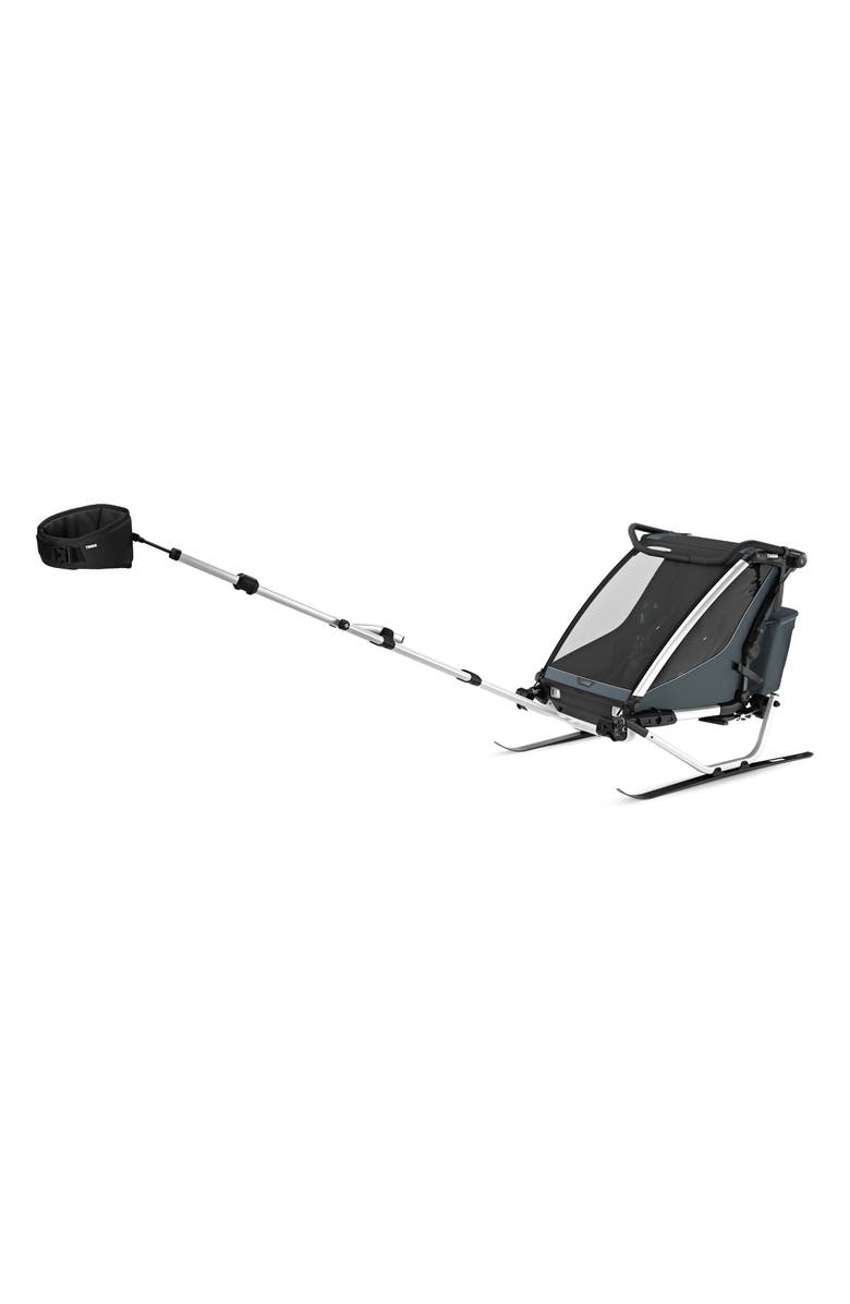 Thule Chariot Cross 2 Multisport Double Cycle Trailer/Stroller, Alternate, color, Dark Slate