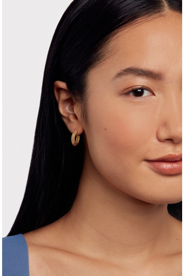 Dotetta Hoop Earrings, Alternate, color, GOLD TONE