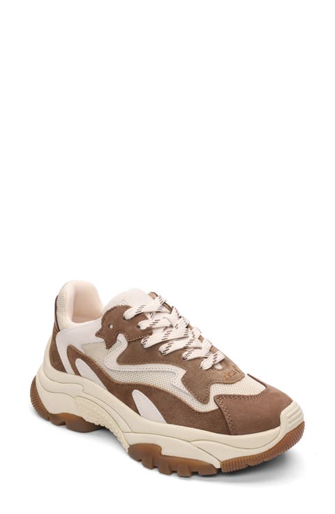 スニーカー ASH Women Sneakers 413665 ADDICT03 Beige Ash Addict03 Beige/White | Low-Top Sneakers