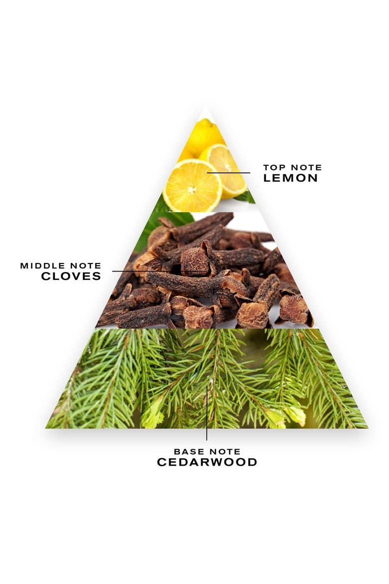Les Royales Exclusives Spice and Wood Fragrance, Alternate, color, NO COLOR