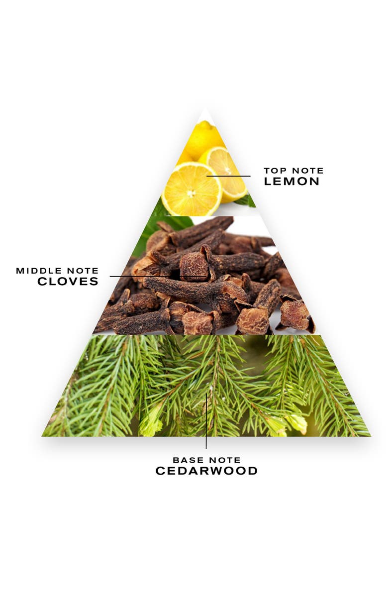 Creed Les Royales Exclusives Spice and Wood Fragrance, Alternate, color, 