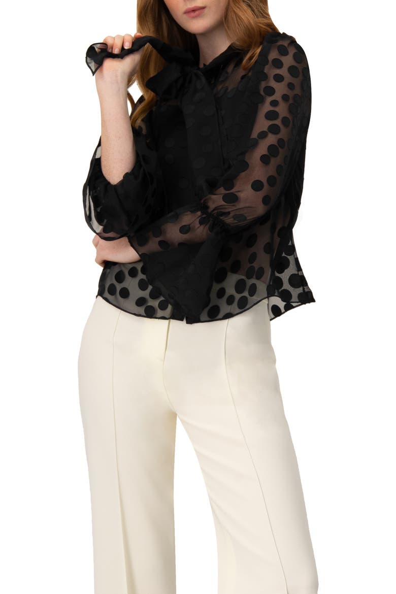 Polka Dot See Though Blouse with Tie Neck, Main, color, Black