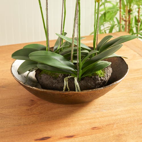 Napa Home & Garden Myron Decorative Bowl In Brown
