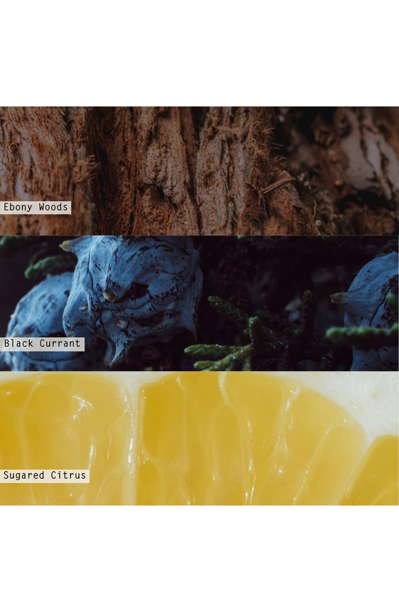 ILLUME<sup>®</sup> Vanity Tin Candle, Alternate, color, Blue