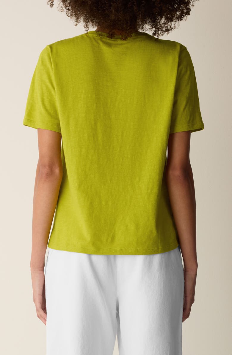 Eileen Fisher Easy V-Neck Organic Cotton T-Shirt, Alternate, color, Citron