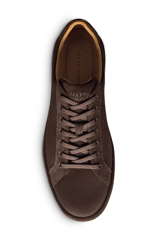 Allen Edmonds Barnes Low Top Sneaker In Brown