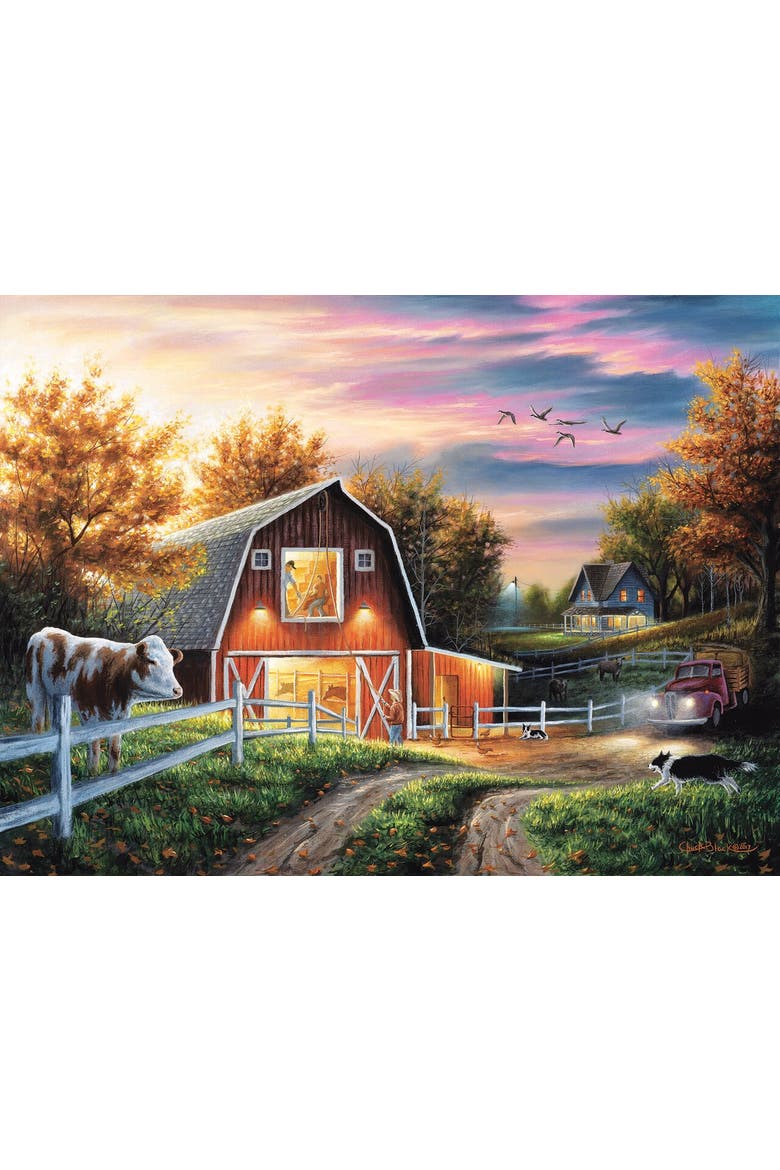 Living the Good Life 300 piece Jigsaw Puzzle for Adults, Main, color, Multicolor
