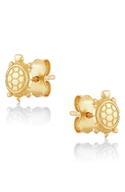 Frankie & Zoe 14k Yellow Gold Turtle Stud Earrings