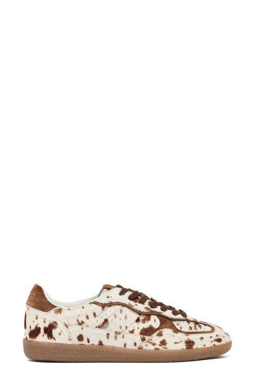 Alohas 'tb.490' Brown Low Top Sneakers With Embossed Logo On The Side And Perforated Details In Brown
