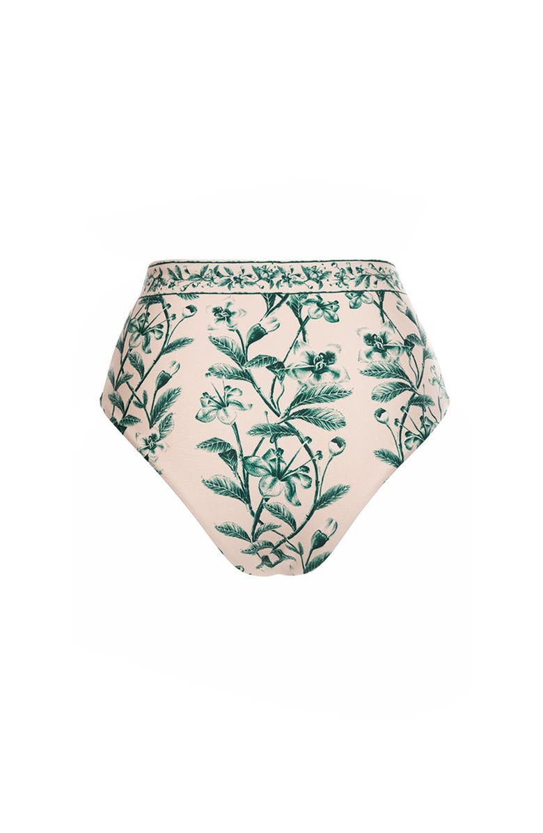 Agua by Agua Bendita Magenta Ceiba Bikini bottom, Alternate, color, Multi