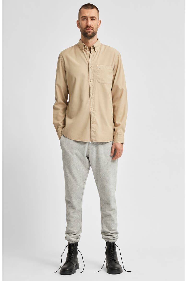 Rick Regular Fit Button-Down Shirt, Alternate, color, CROCKERY