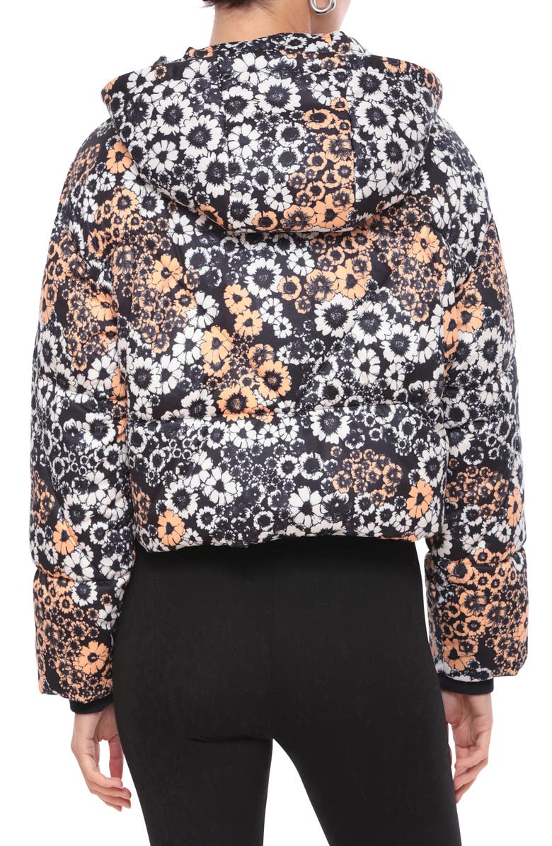 Avec Les Filles Cropped Hooded Puffer Coat, Alternate, color,