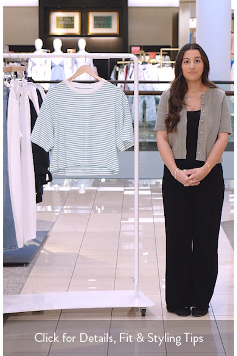 Mae Stripe Boxy Crop T-Shirt video