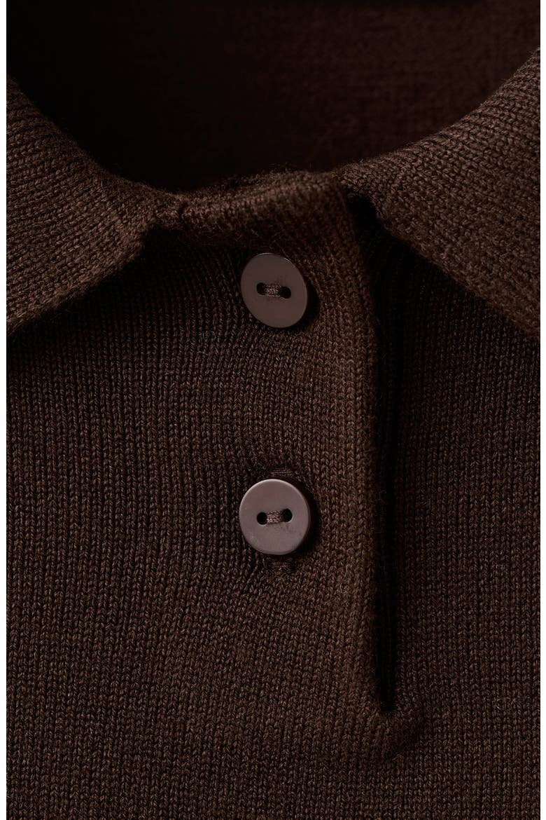 Contrast Tipped Polo Sweater, Alternate, color, CHOCOLATE