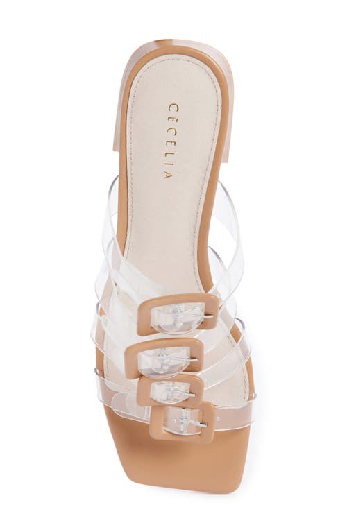 Cecelia New York Ludlow Cage Slide Sandal In Tea