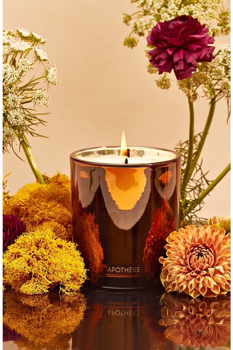 Pumpkin Ginger Classic Scented Candle, Alternate, color, BROWN