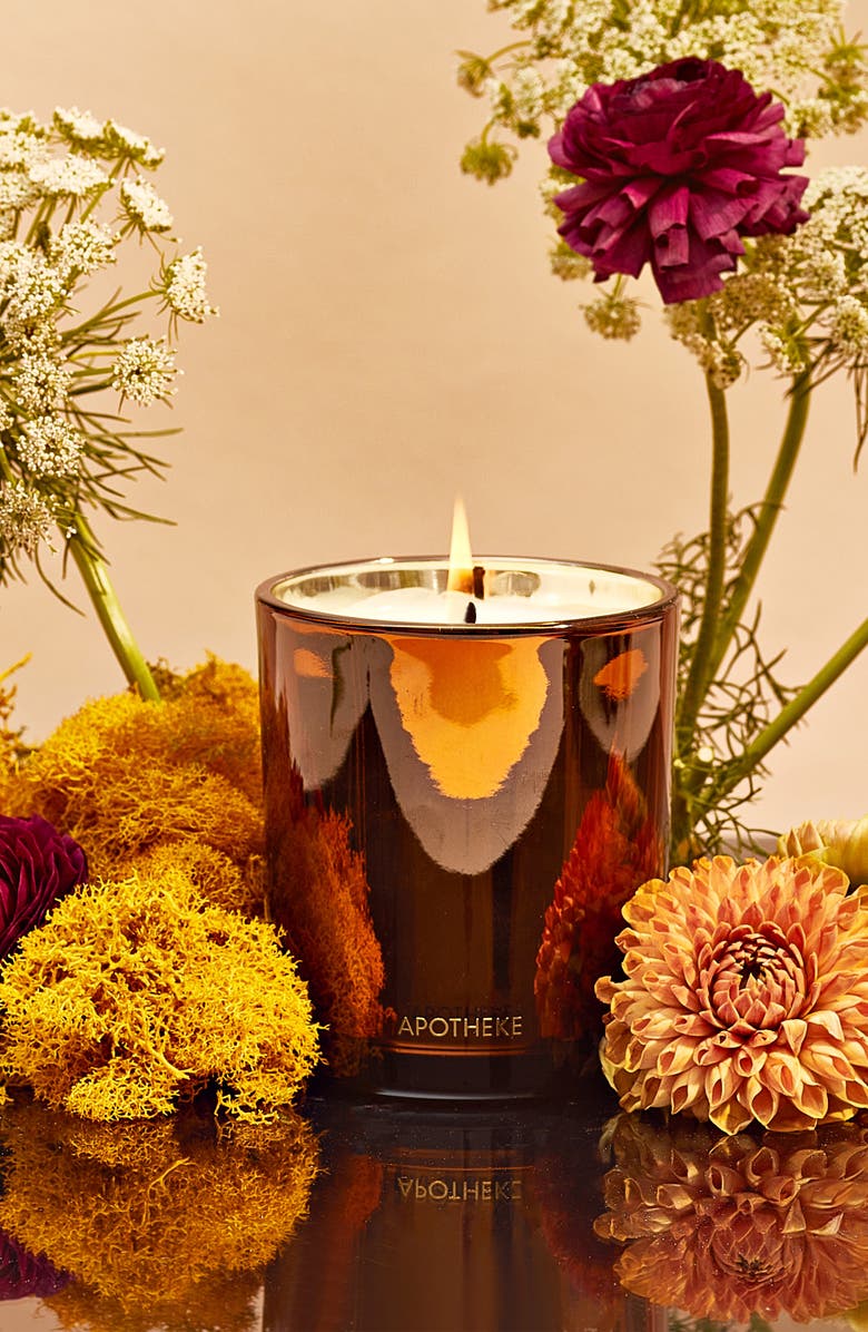 APOTHEKE Pumpkin Ginger Classic Scented Candle, Alternate, color,