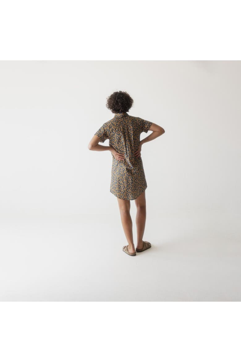 Girl Party Dress - Women's, Alternate, color, Spring Branch