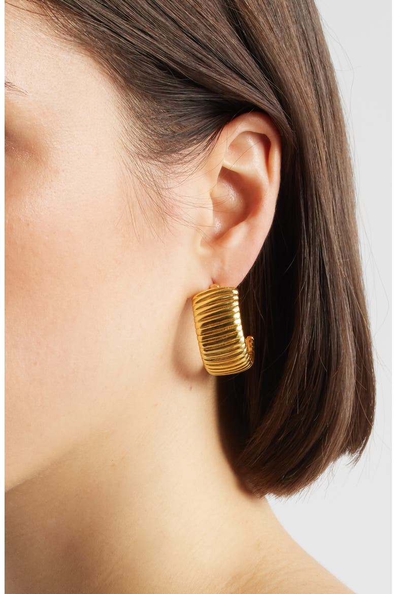 Snakeskin Textured Hoop Earrings, Alternate, color, GOLD