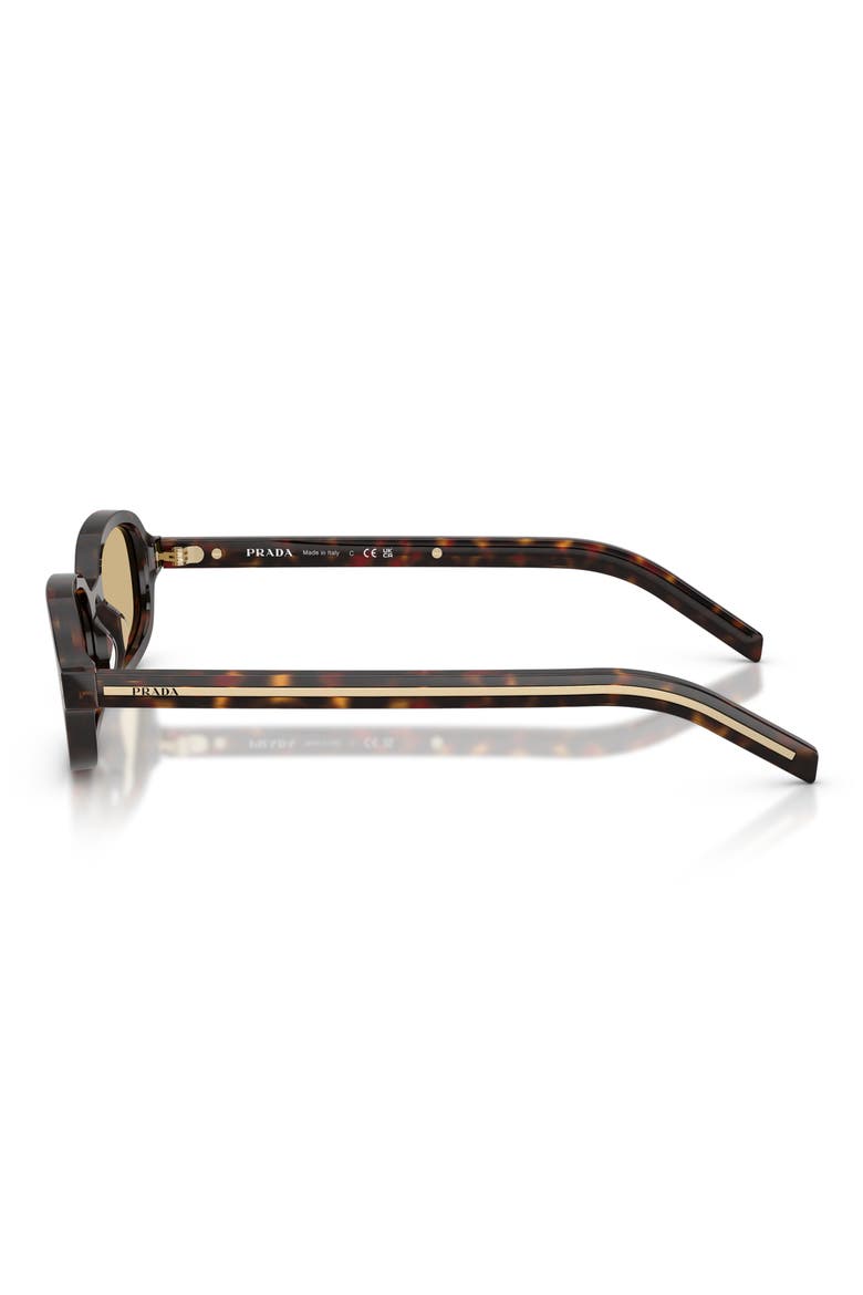 52mm Oval Sunglasses, Alternate, color, ROOT TORTOISE / LIGHT BROWN