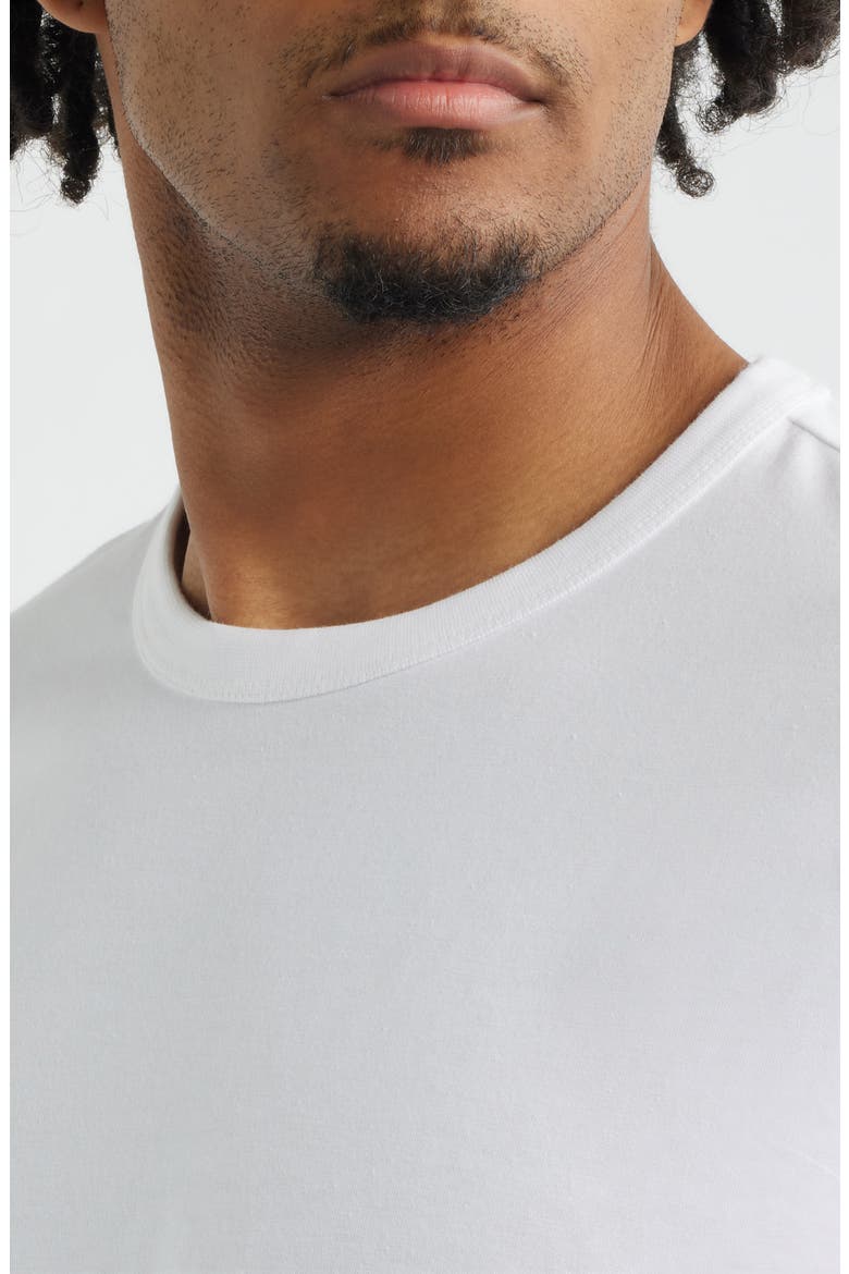 Shrunken T-Shirt, Alternate, color, WHITE